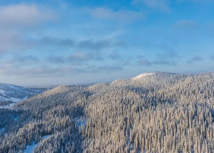 Pulla A Modern In Ruka בית נופש קוסאמו
